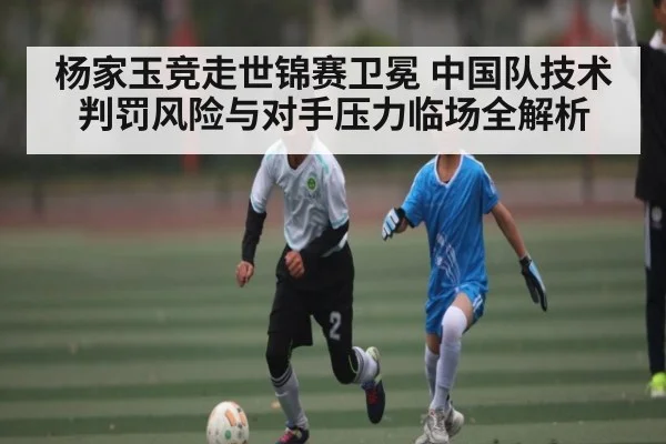 杨家玉竞走世锦赛卫冕 中国队技术判罚风险与对手压力临场全解析 - www.c7c7.app